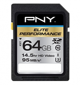 PNY Elite Performance 64GB Flash Memory High Speed SDXC Class 10 UHS-I (P-SDX64U395-GE) -
